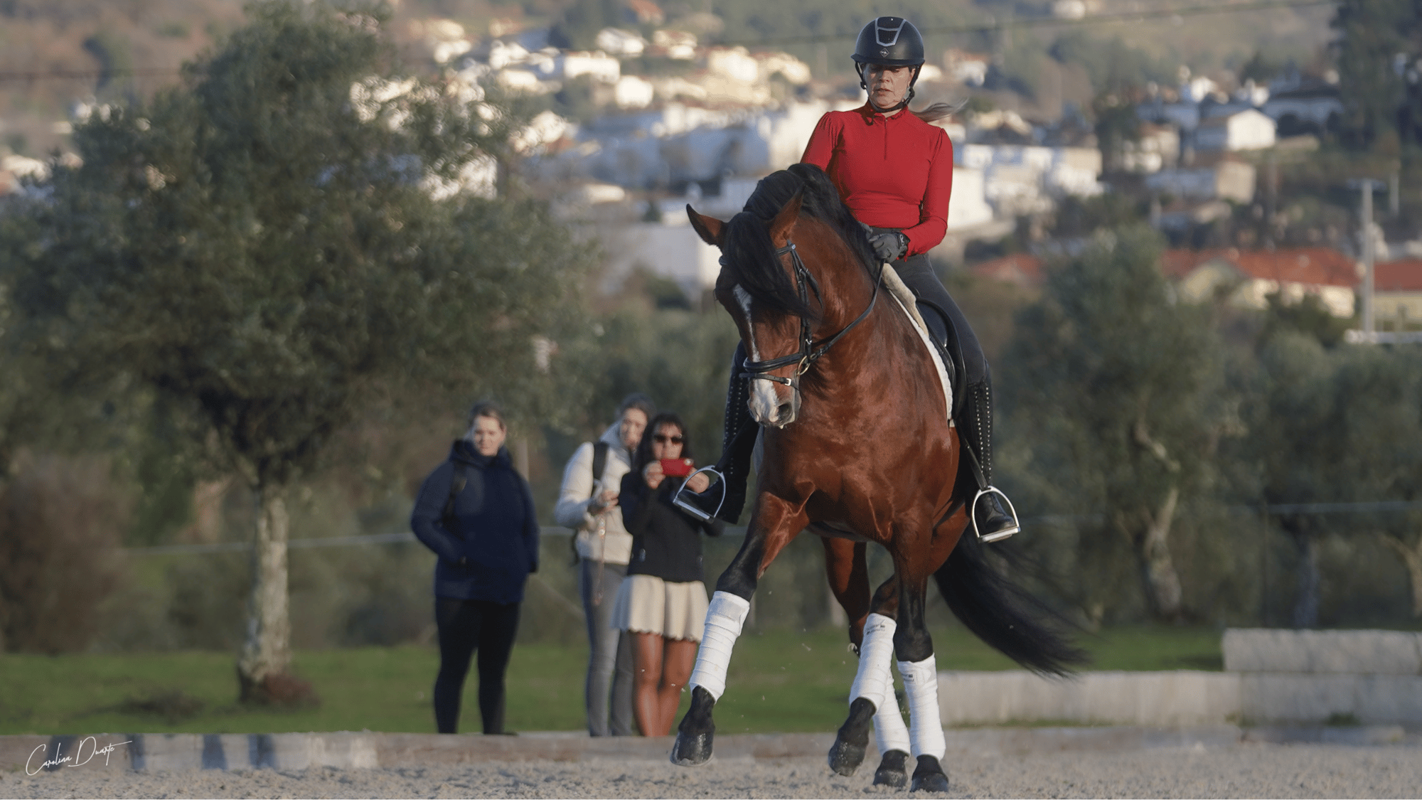 Rider and Lusitano horse performing dressage.