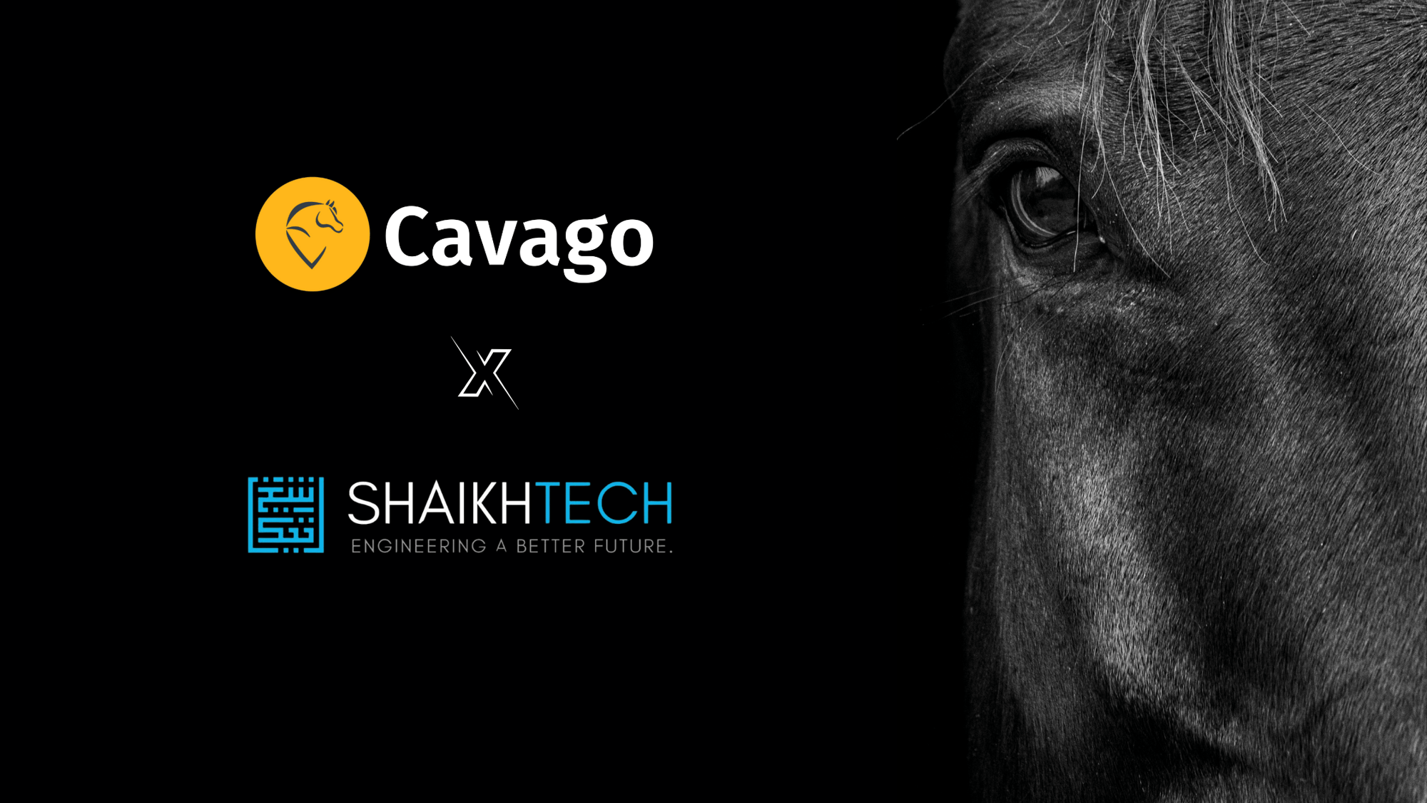 Cavago partners with ShaikhTech.